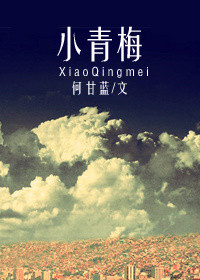 《小青梅（作者：何甘蓝）》封面