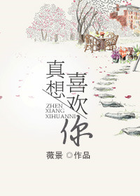 《真想喜欢你》封面