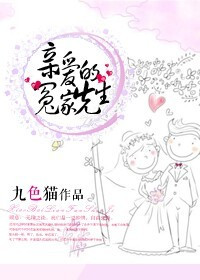 《亲爱的冤家先生》封面