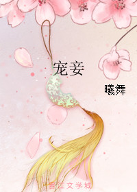 《宠妾（甜文）》封面