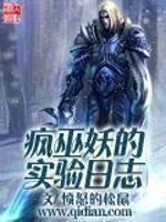 《疯巫妖的实验日志》封面