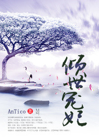 《倾世宠妃》封面