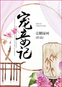 《宠妾记》封面