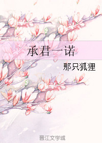 《承君一诺》封面