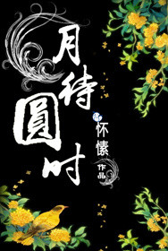 《月待圆时》封面