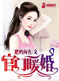 《官门暖婚》封面