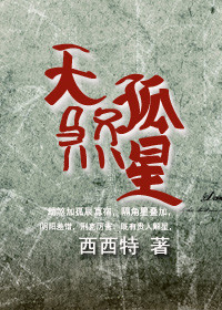 《天煞孤星》封面