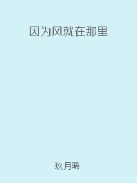 《因为风就在那里》封面
