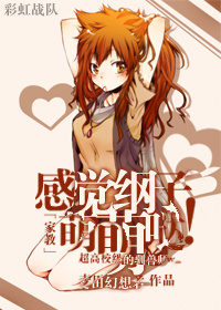 《[家教]感觉纲子萌萌哒！》封面