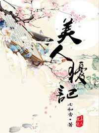 《美人犹记》封面