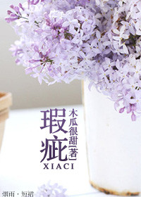 《瑕疵》封面