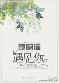 《就这样遇见你》封面