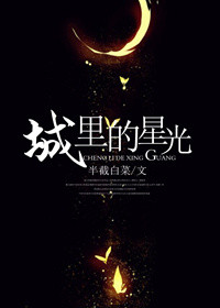 《城里的星光[娱乐圈]》封面