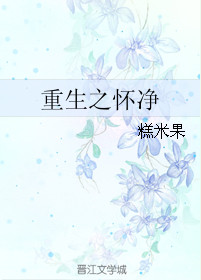 《重生之怀净》封面