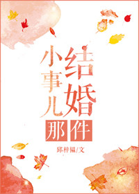 《结婚那件小事儿》封面