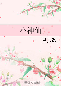 《小神仙》封面