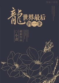 《最后一条龙》封面