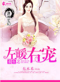 《重生之左暖右爱》封面