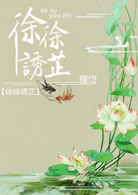 《徐徐诱芷》封面