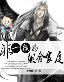 《非一般的组合家庭》封面