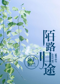 《陌路归途》封面