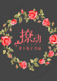 《撩动》封面