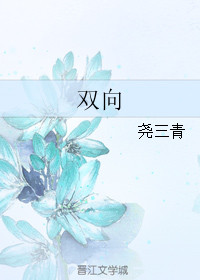 《双向》封面