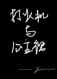 《打火机与公主裙·长明灯》封面