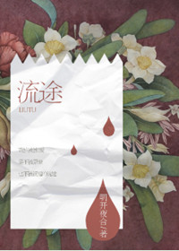 《流途》封面