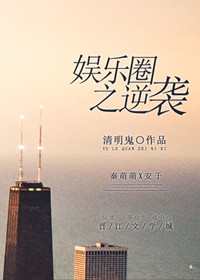 《娱乐圈之逆袭》封面