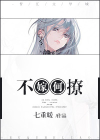 《不嫁何撩》封面