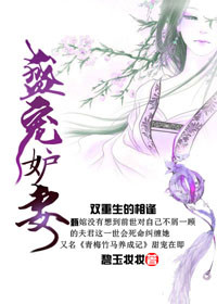 《盛宠妒妻》封面