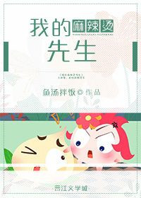 《我的麻辣烫先生》封面