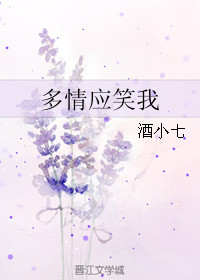 《多情应笑我》封面
