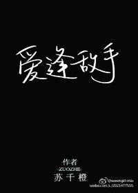 《爱逢敌手》封面