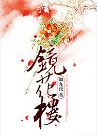 《镜花楼》封面