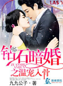 《钻石暗婚之温宠入骨》封面