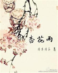 《杏花雨》封面