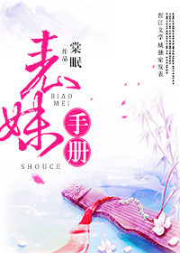 《表妹手册》封面