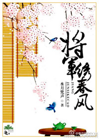 《将军绣春风》封面