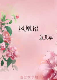 《凤凰诏》封面