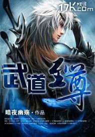 《武道至尊》封面