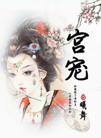 《宫宠》封面
