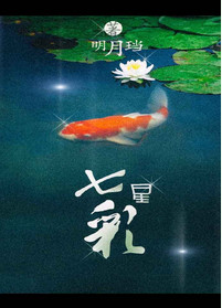 《七星彩》封面