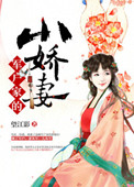 《军户家的小娇妻》封面