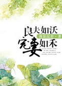 《良夫如沃宠妻如禾》封面
