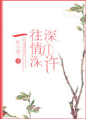 《一往情深深几许》封面