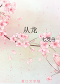 《从龙》封面