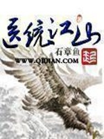 《医统江山》封面