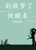 《别做梦了快醒来》封面